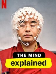 Le Cerveau, en bref SAISON 2