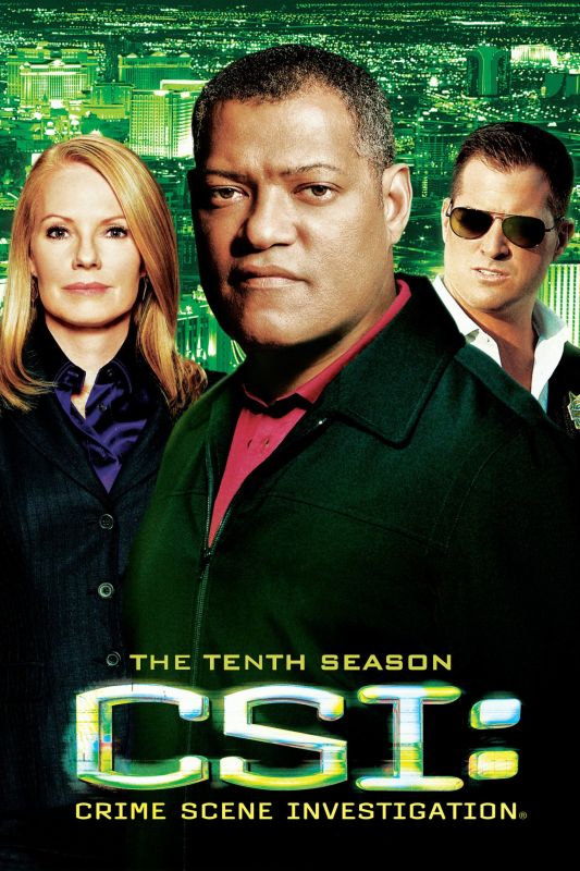 Les Experts SAISON 10